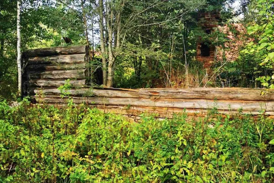 Elamumaa, 16086 m² Maa - Peipsiääre vald, Nina küla - foto 4