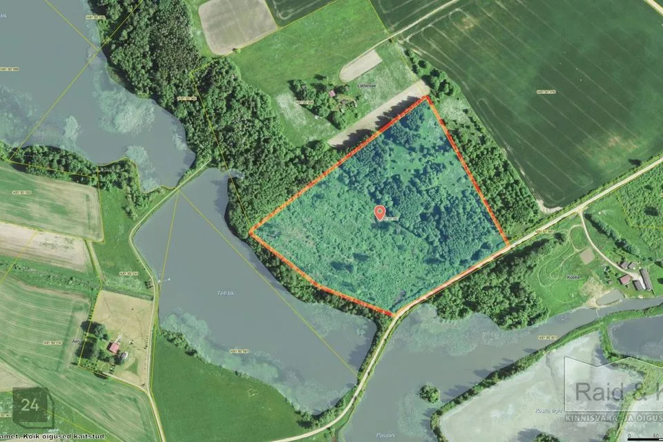 Maatulundusmaa, 73700 m² Maa - Antsla vald, Antsu küla - foto 3