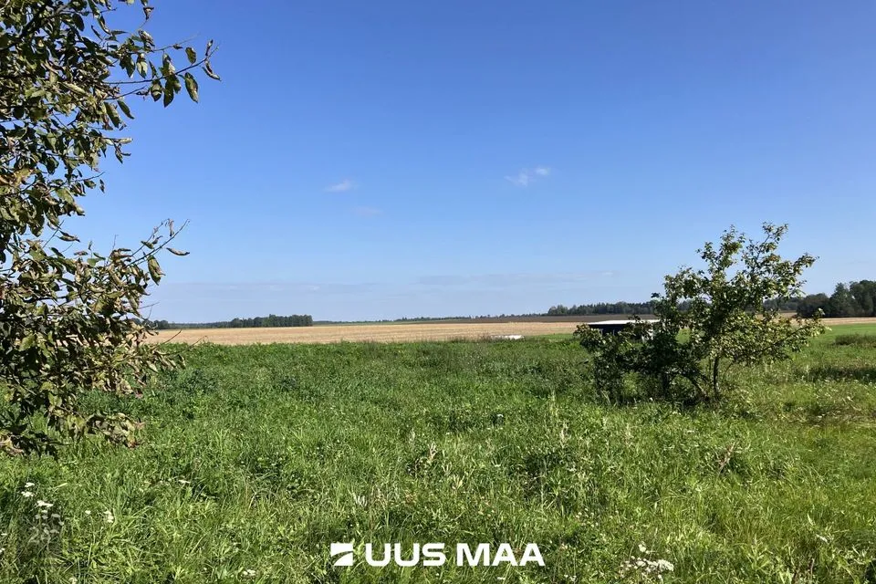 Maatulundusmaa, 13909 m² Maa  -  Nõo vald, Nõgiaru küla - foto 3