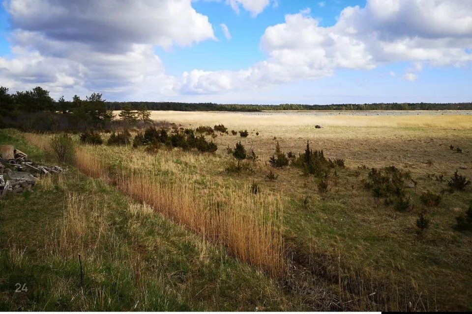 Elamumaa, 3002 m² Maa  -  Saaremaa vald, Kudjape alevik - foto 3