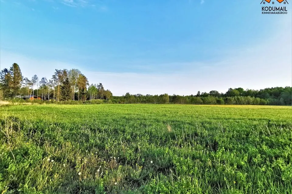 Tootmismaa, 2500 m² Maa - Saku vald, Saue küla - foto 2