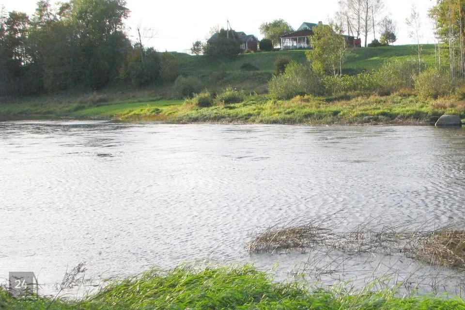 Maatulundusmaa, 34870 m² Maa - Tori vald, Taali küla - foto 5