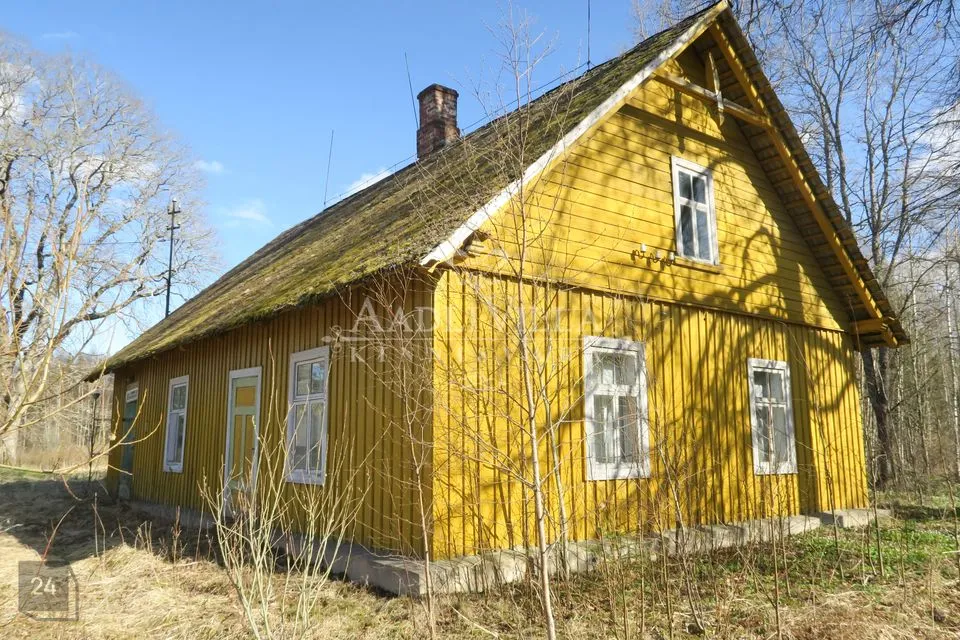 Maatulundusmaa, 99188 m² участок в Peipsiääre vald, Särgla küla - фото 3