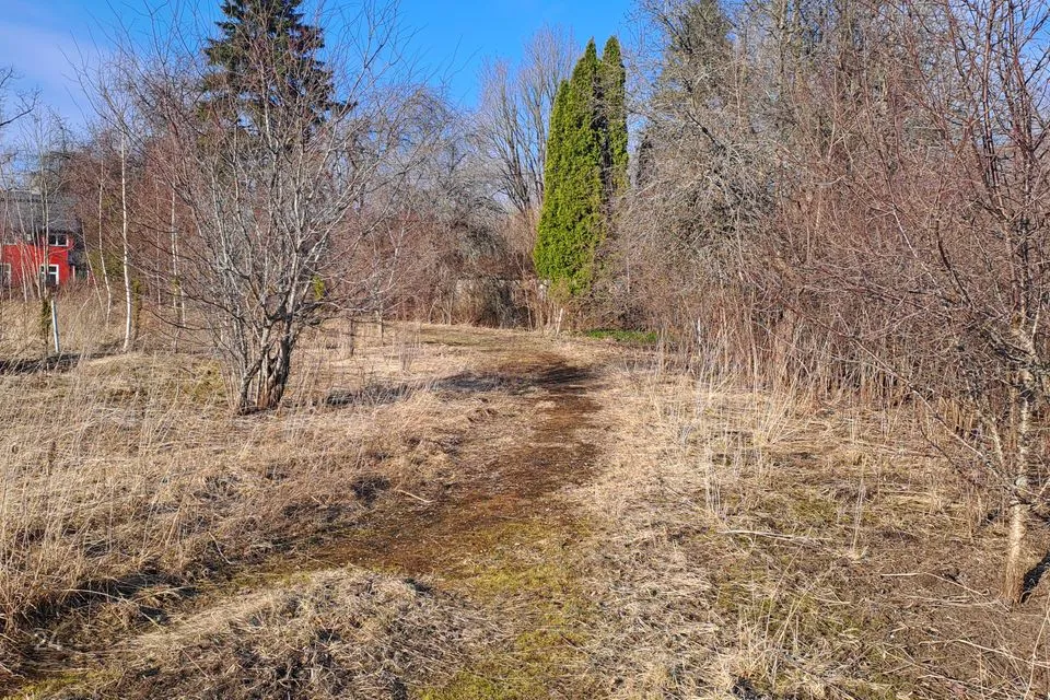 Elamumaa, 1878 m² Maa  -  Kohila vald, Kohila alev
