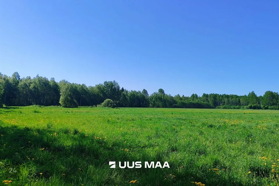 Maatulundusmaa, 17588 m² Maa  -  Lääne-Harju vald, Suurküla - foto 2
