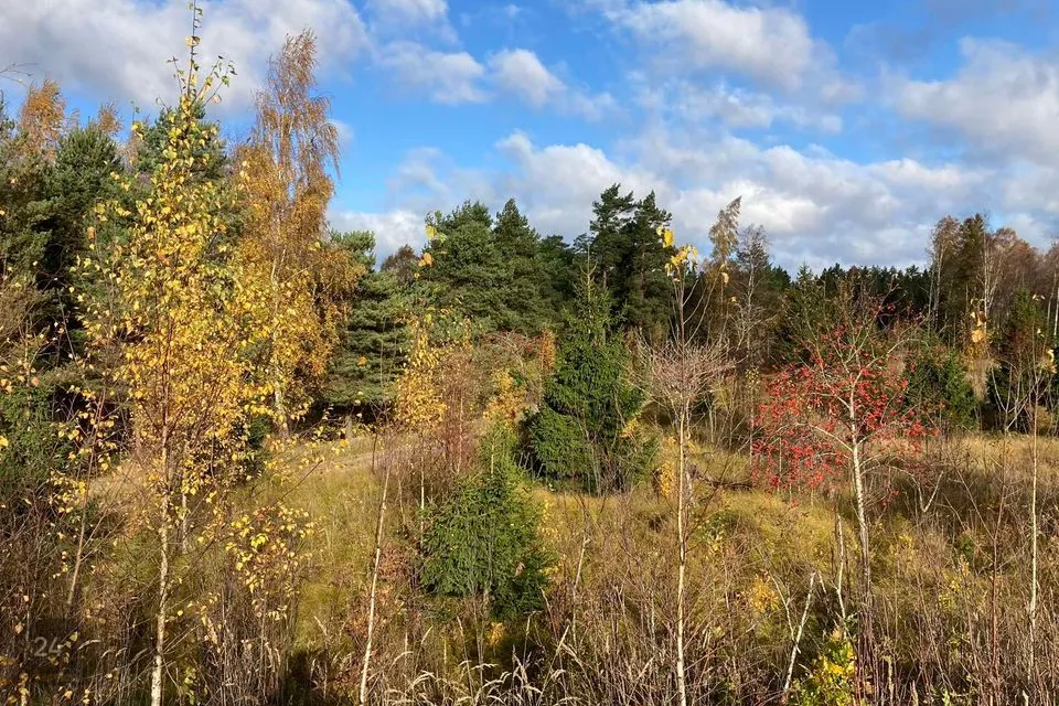 Maatulundusmaa, 10681 m² Maa - Saaremaa vald, Torgu-Mõisaküla - foto 2