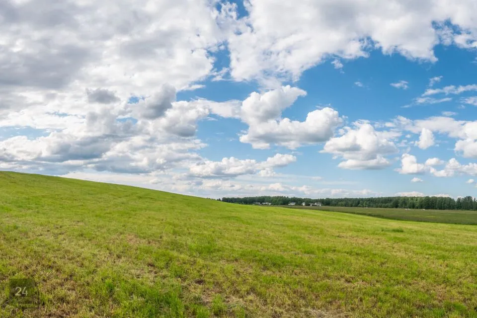 Maatulundusmaa, 15562 m² Maa  -  Tartu linn, Vorbuse küla - foto 4