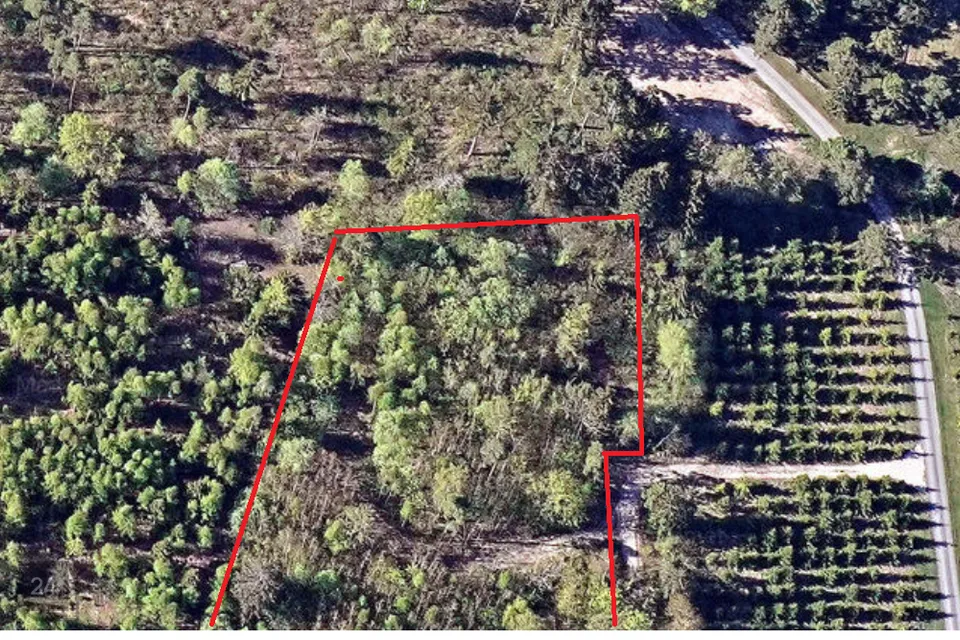 Maatulundusmaa, 6154 m² Maa  -  Lääne-Nigula vald, Oru küla