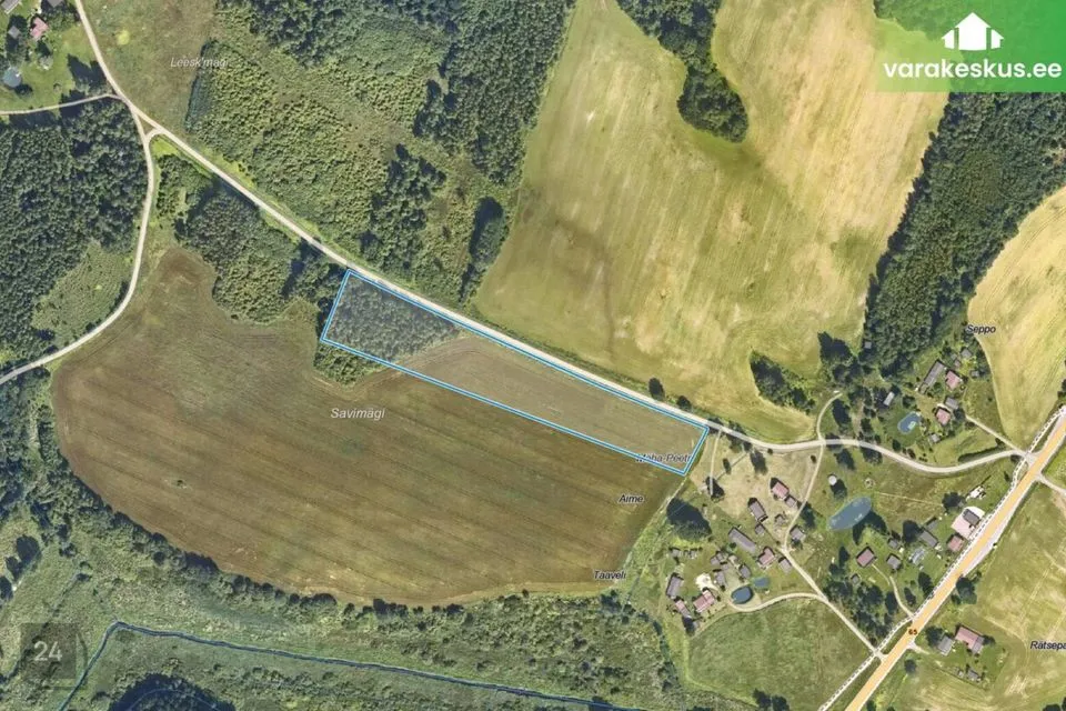 Maatulundusmaa, 16331 m² Maa  -  Räpina vald, Pahtpää küla - foto 2
