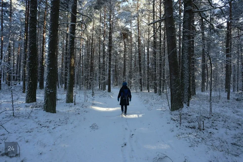 4-toaline Maja  -  Viimsi vald, Lääneotsa küla - foto 2