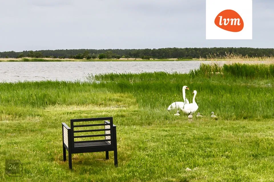 Suvila  -  Saaremaa vald, Jõgela - foto 3