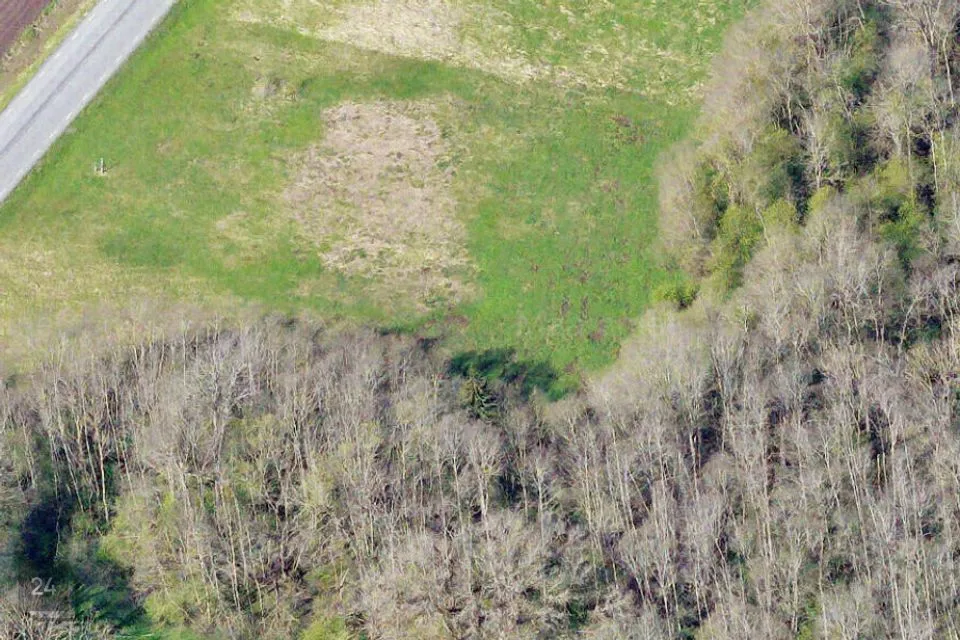 Maatulundusmaa, 17385 m² Maa  -  Tartu linn, Kardla küla - foto 2