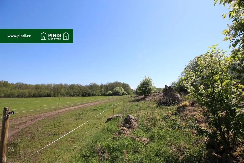 Maatulundusmaa, 29471 m² участок в Vormsi vald, Suuremõisa küla - фото 3