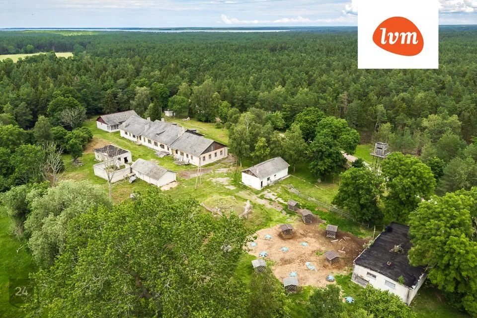 Riigikaitsemaa, 15529 m² Maa  -  Saaremaa vald, Austla küla - foto 5