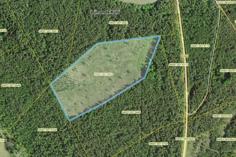 Cultivated land, 74256 m² land in Saaremaa vald, Lümanda-Kulli küla