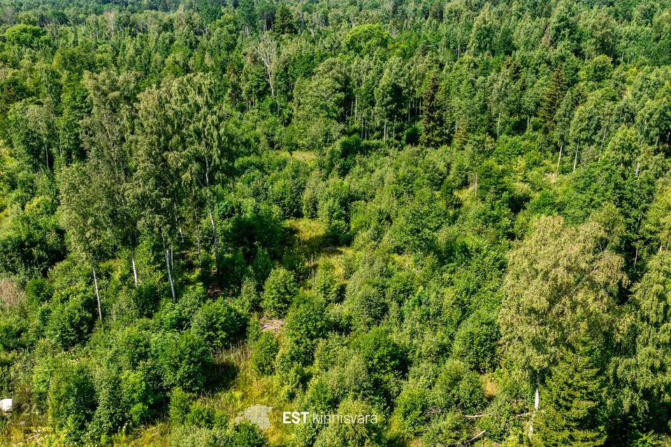 Maatulundusmaa, 10355 m² Maa  -  Lääneranna vald, Rädi küla