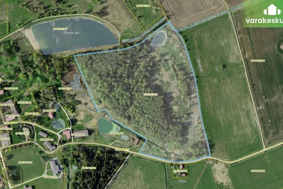 Maatulundusmaa, 122376 m² Maa - Jõgeva vald, Torma alevik - foto 2