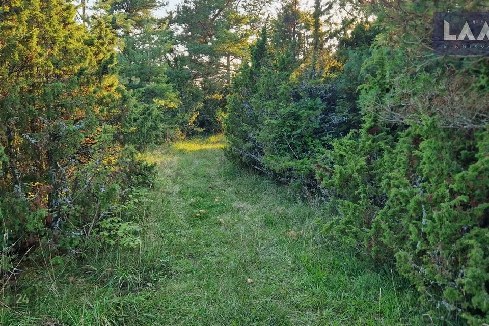 Maatulundusmaa, 81295 m² Maa  -  Saaremaa vald, Suure-Rootsi küla - foto 5