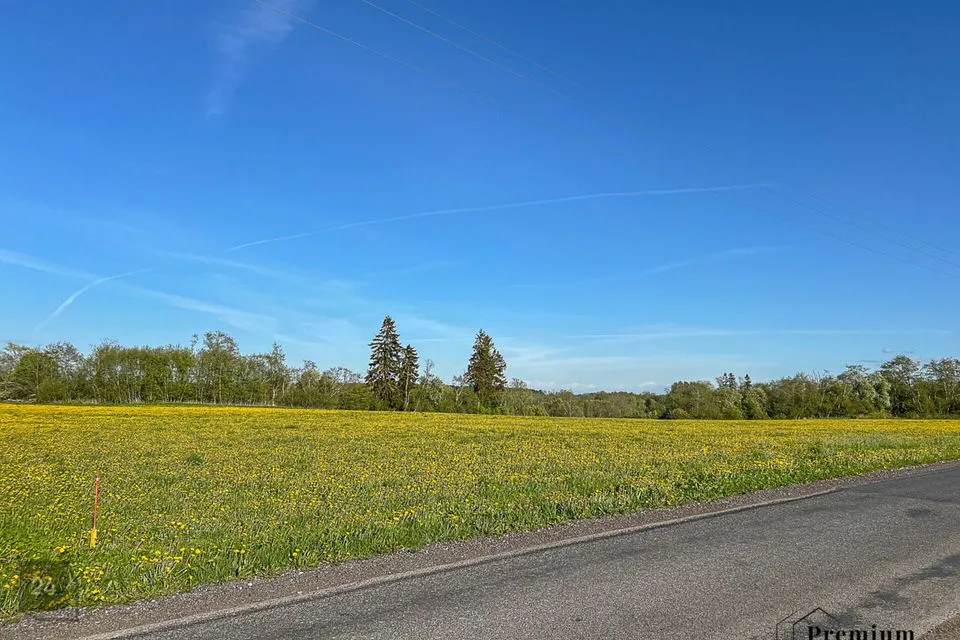 Maatulundusmaa, 18609 m² Maa  -  Lüganuse vald, Purtse küla