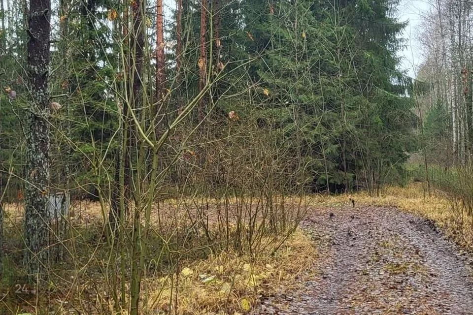 Elamumaa, 11015 m² Maa - Pärnu linn, Paikuse alev - foto 4