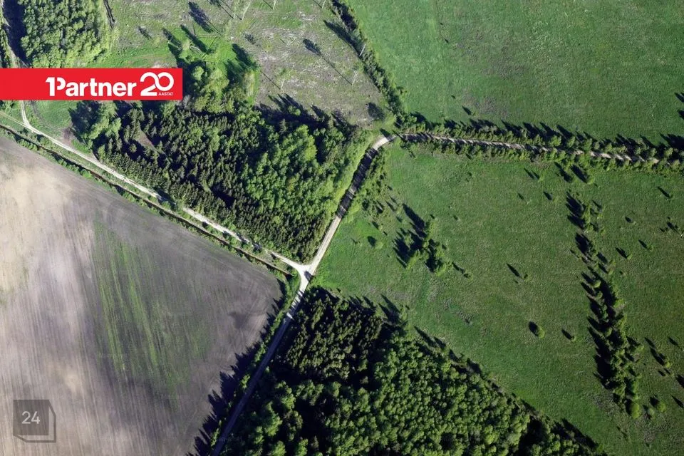 Maatulundusmaa, 27095 m² Maa  -  Tapa vald, Tõõrakõrve küla - foto 4
