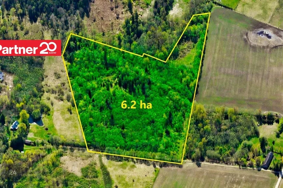 Maatulundusmaa, 62488 m² Maa - Jõelähtme vald, Sambu küla - foto 4
