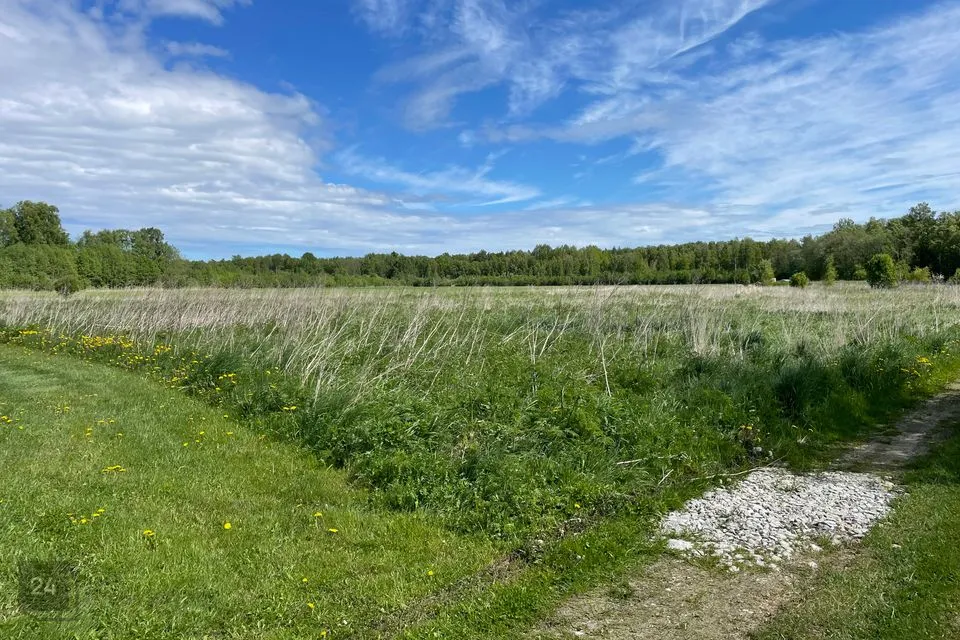 Elamumaa, 2557 m² Maa  -  Haapsalu linn, Väike-Ahli küla - foto 4