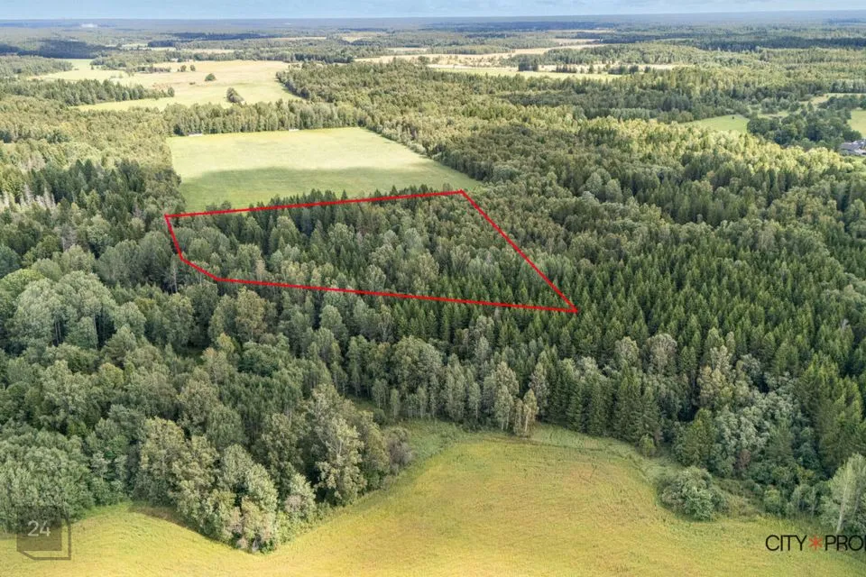 Maatulundusmaa, 20190 m² Maa - Lääne-Harju vald, Nahkjala küla - foto 5