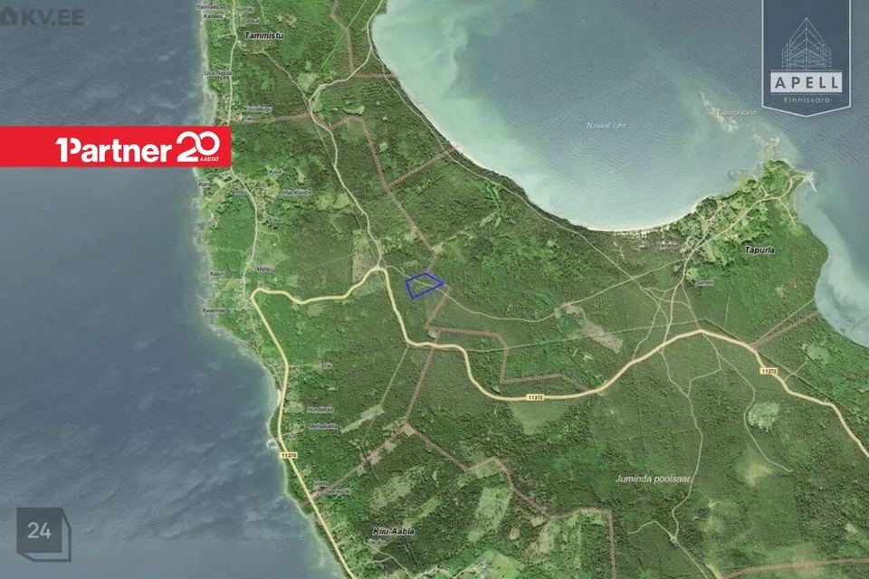 Maatulundusmaa, 26833 m² Maa - Kuusalu vald, Leesi küla - foto 4