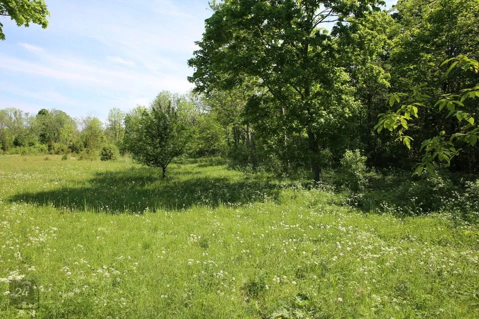 Maatulundusmaa, 28997 m² Maa  -  Muhu vald, Lehtmetsa küla - foto 4