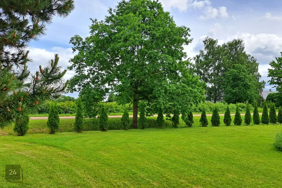 Mitme sihtotstarbega, 262 m² Äripind - Tartu vald, Tammistu küla - foto 4