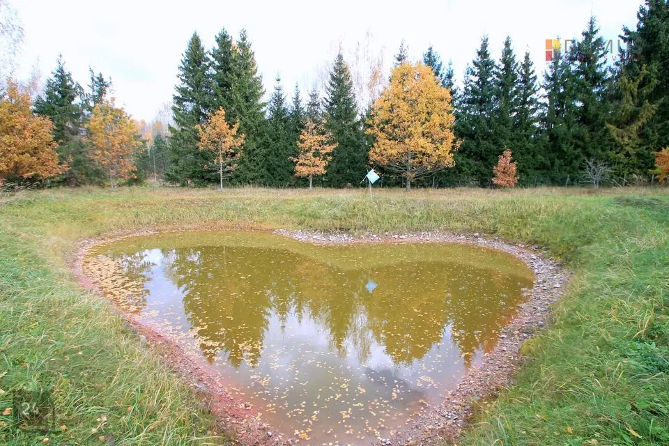 5-toaline Maja  -  Häädemeeste vald, Majaka küla - foto 5