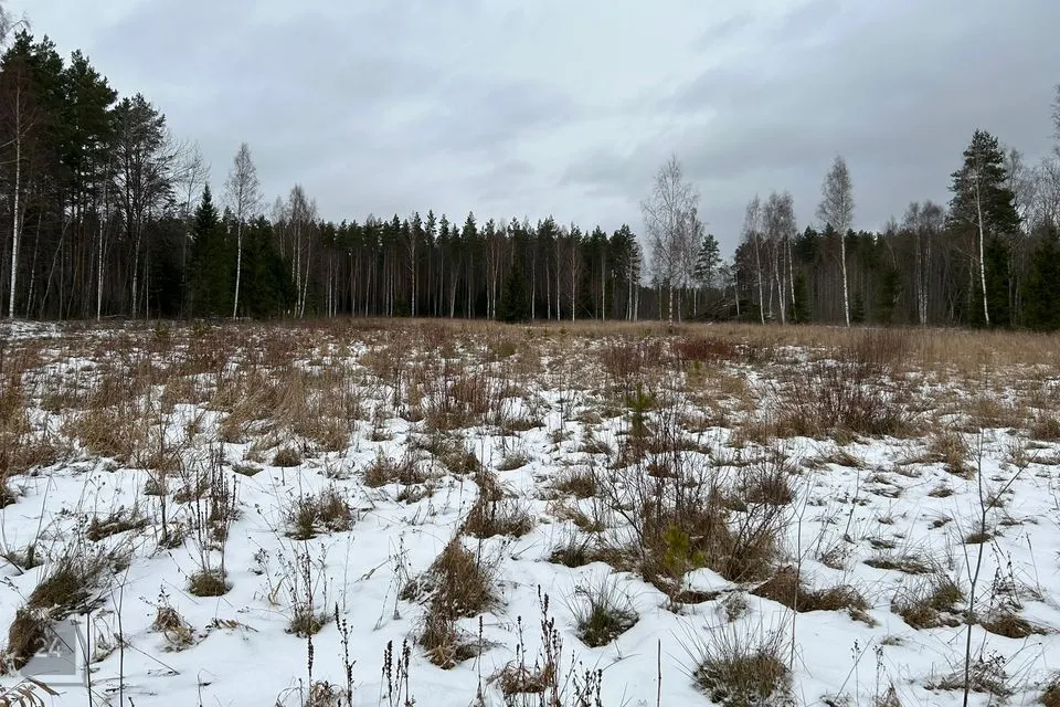 Maatulundusmaa, 19415 m² Maa  -  Mustvee vald, Separa küla - foto 4