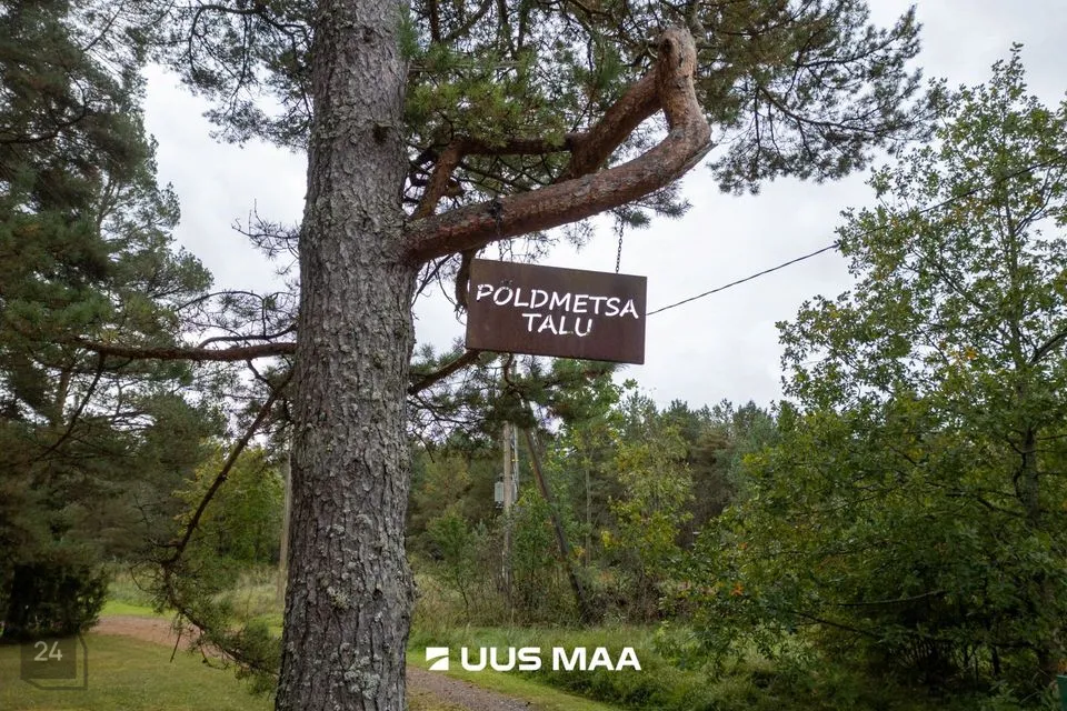 Elamumaa, 5332 m² Maa  -  Saue vald, Aila küla - foto 3