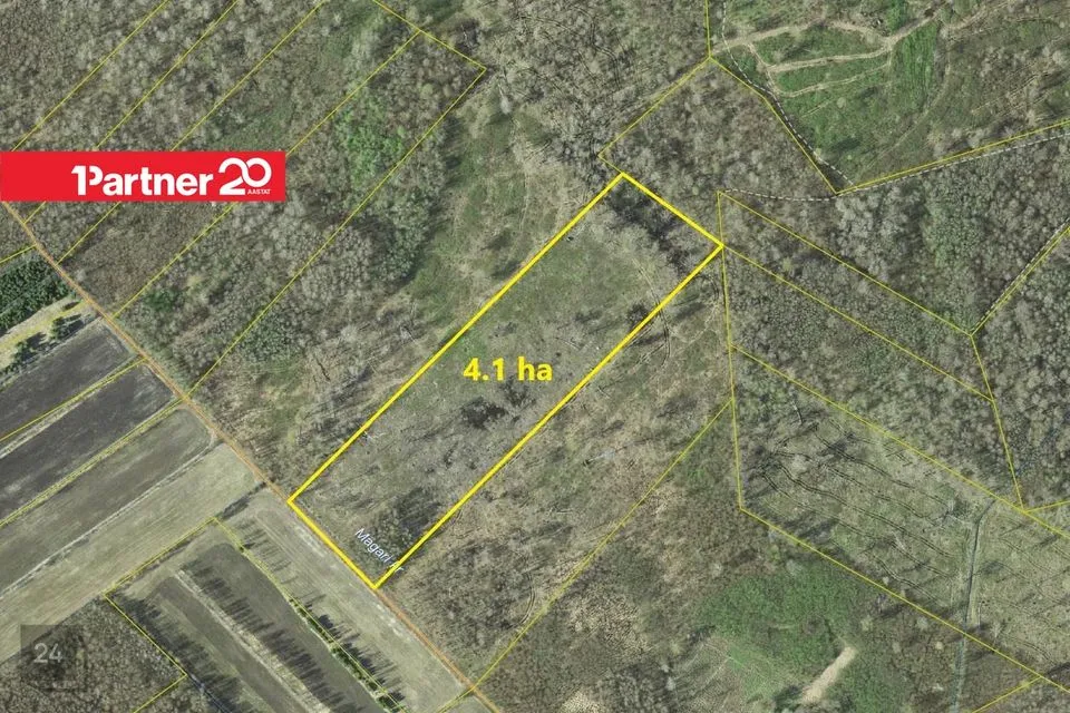Maatulundusmaa, 41865 m² Maa  -  Haapsalu linn, Koheri küla - foto 2