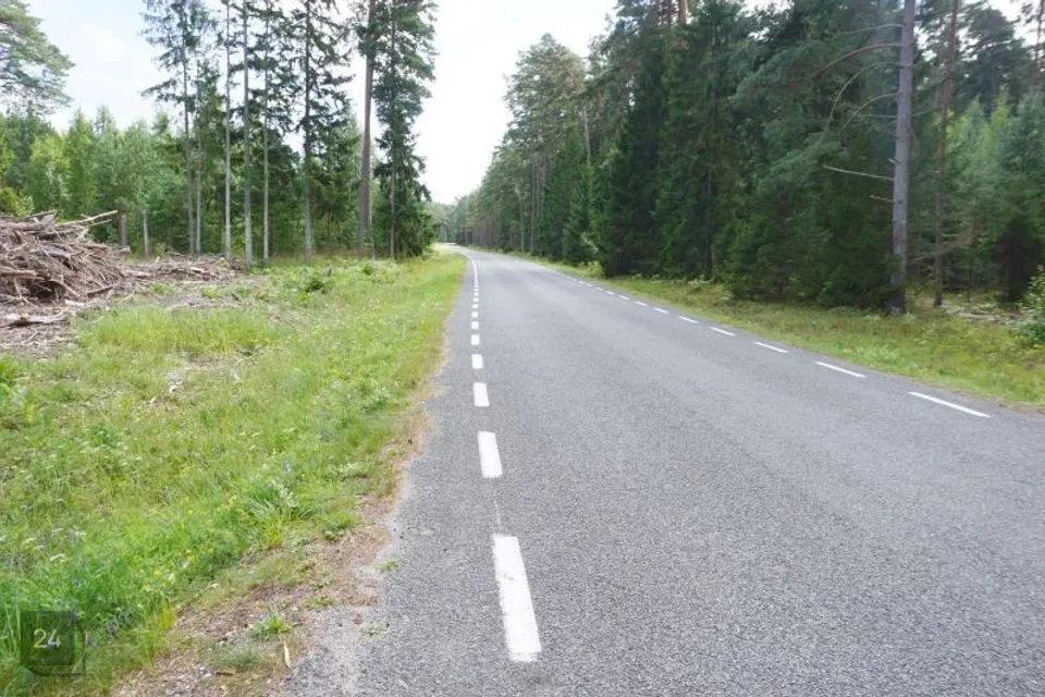 Maatulundusmaa, 32000 m² Maa  -  Hiiumaa vald, Kalana küla - foto 4