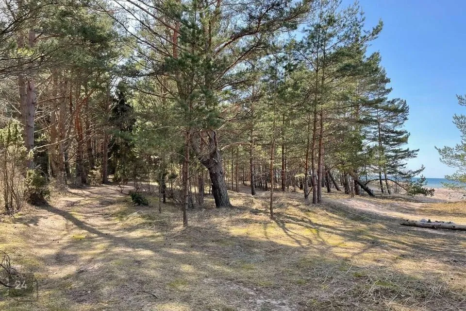 Elamumaa, 12514 m² Maa - Saaremaa vald, Murika küla - foto 5