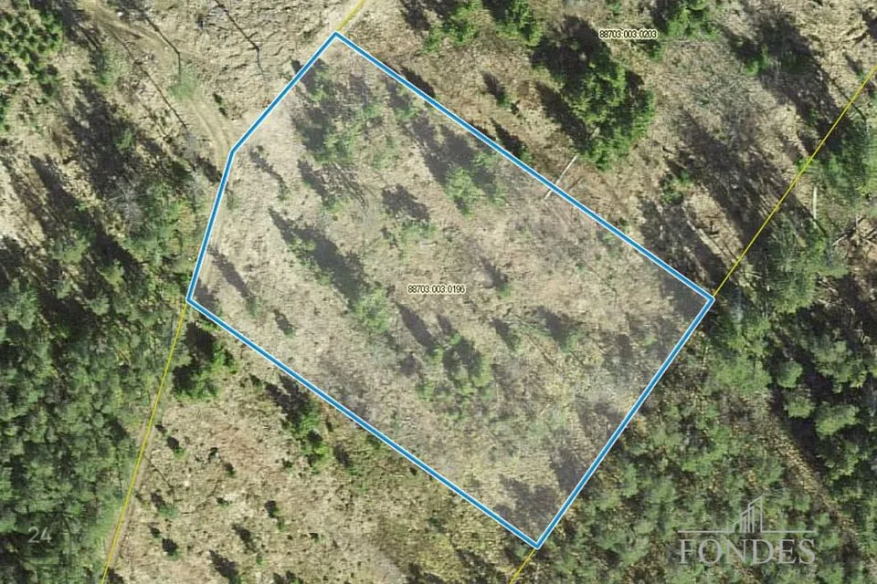 Maatulundusmaa, 5975 m² участок в Haljala vald, Rutja küla