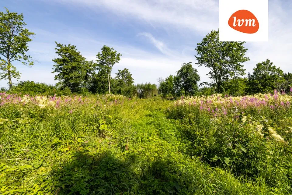 Maatulundusmaa, 11276 m² Maa - Kuusalu vald, Kaberla küla - foto 3