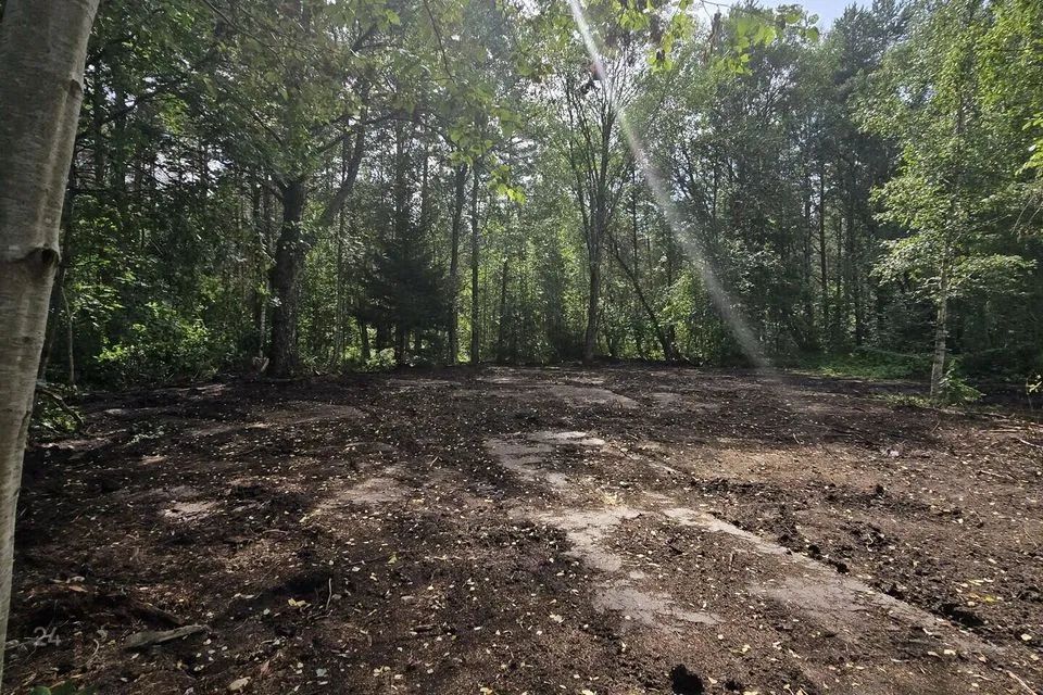 4-toaline Maja - Lääne-Nigula vald, Risti alevik - foto 4