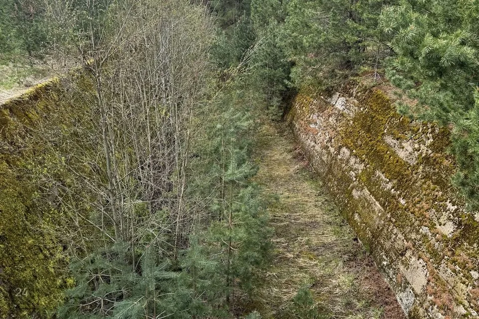 Tootmismaa, 2999 m² Maa - Viru-Nigula vald, Pärna küla - foto 4