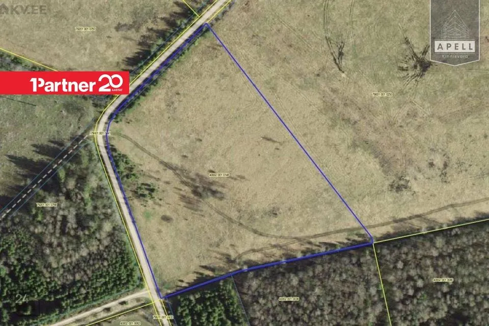 Cultivated land, 27095 m² land in Tapa vald, Tõõrakõrve küla - photo 2