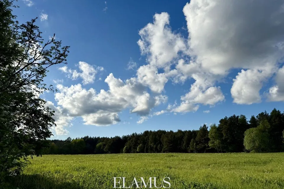 Elamumaa, 58631 m² Maa  -  Saaremaa vald, Ruhve küla - foto 2