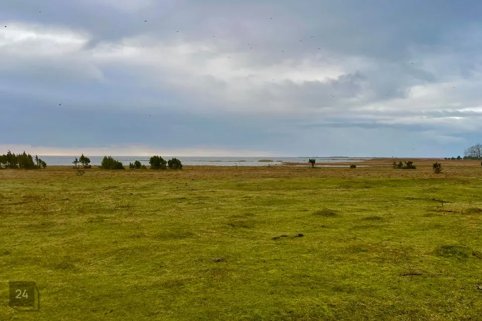 Maatulundusmaa, 17954 m² Maa - Saaremaa vald, Karala küla - foto 5