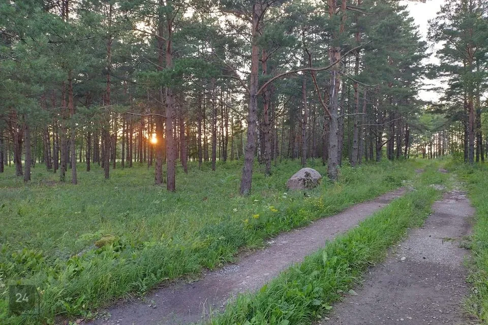 Maatulundusmaa, 16821 m² Maa  -  Saaremaa vald, Kõrkvere küla - foto 5