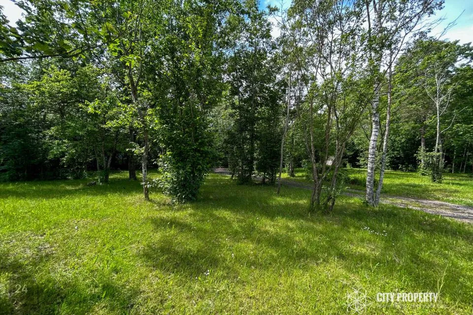 Maatulundusmaa, 11340 m² Maa - Saue vald, Püha küla - foto 5