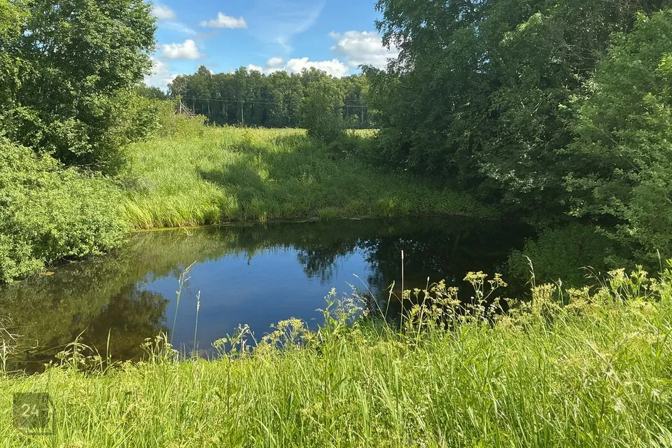 Maatulundusmaa, 23719 m² участок в Rakvere vald, Päide küla - фото 3