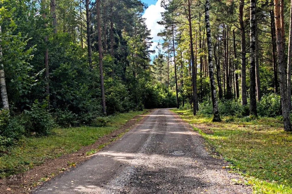 Maatulundusmaa, 20194 m² Maa - Saaremaa vald, Lilbi küla - foto 5