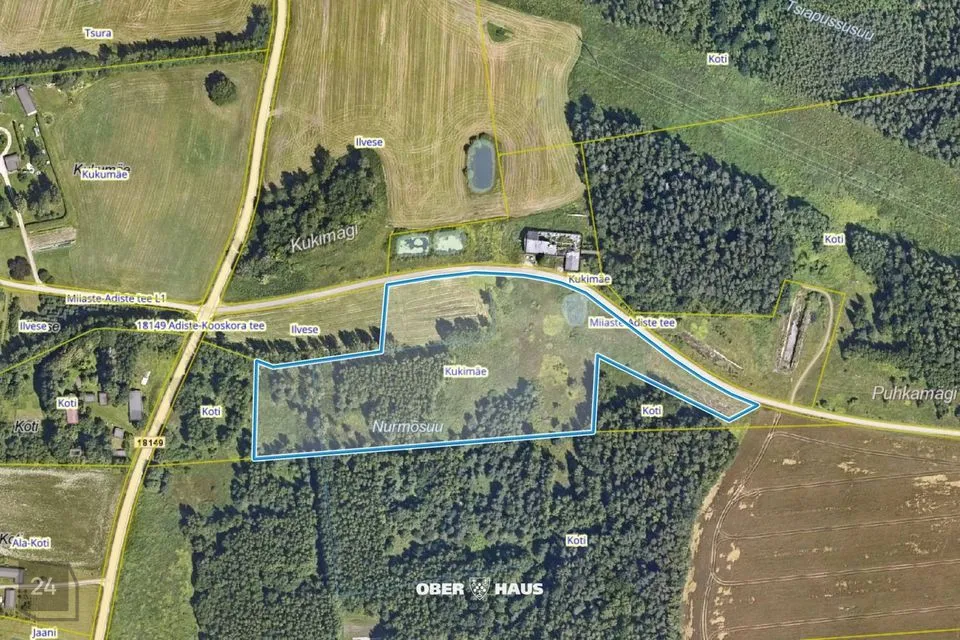 Maatulundusmaa, 38000 m² Maa  -  Põlva vald, Adiste küla - foto 2