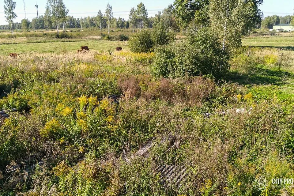 Земля жилой застройки, 3203 m² участок в Valga vald, Valga linn - фото 4